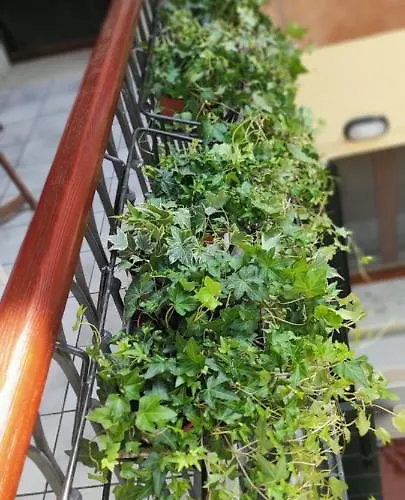 Ca' Baby Apartamento