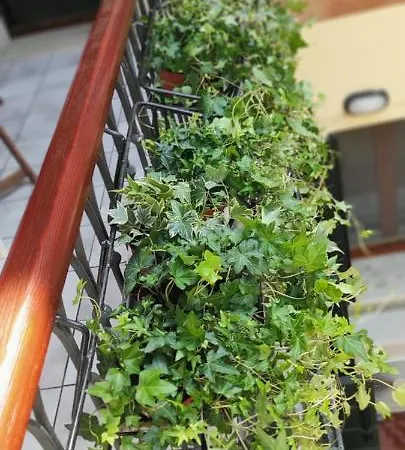 Ca' Baby Apartamento